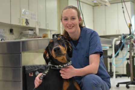 Photo of the lovable doberman and the vet who treated her