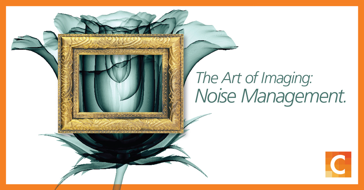 Image of a picture frame overlapping a black and white rose with the text "The art of Imaging: Noise Management" 