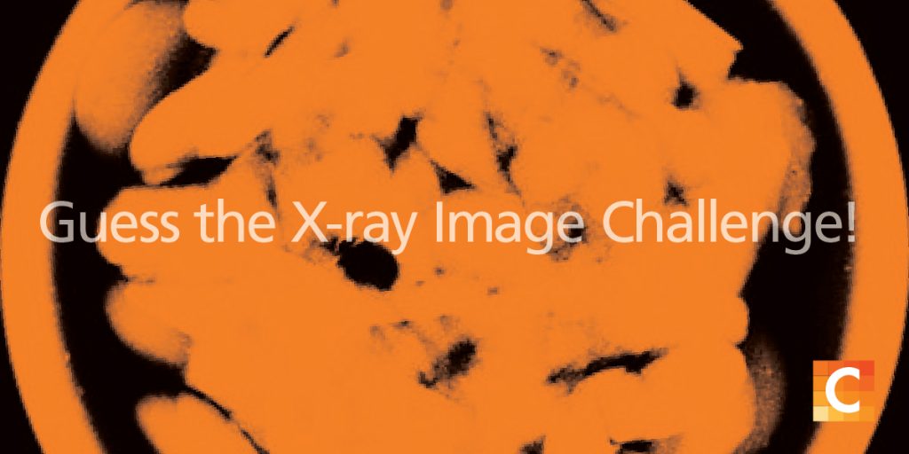 Guess the X-ray image challenge 