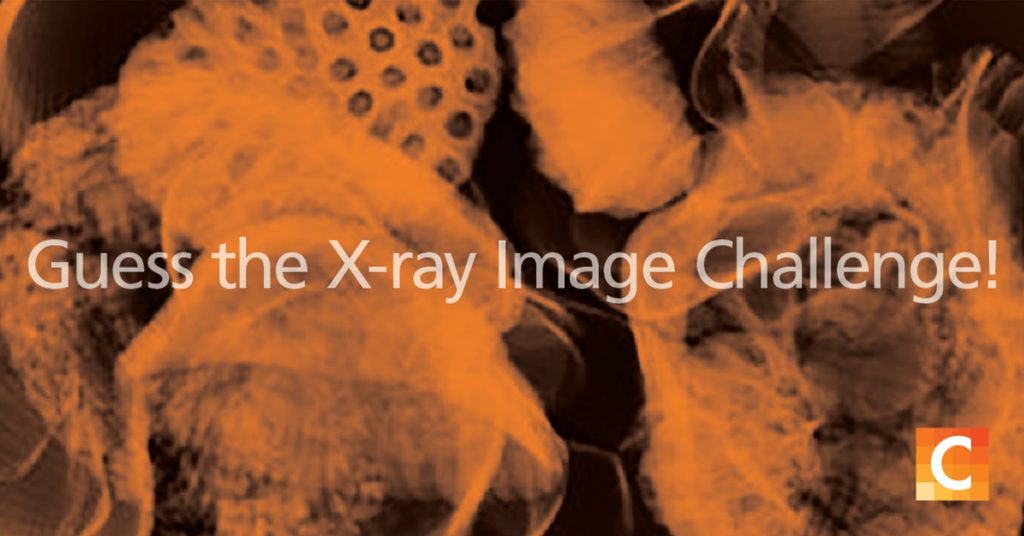Guess the X-ray image challenge!