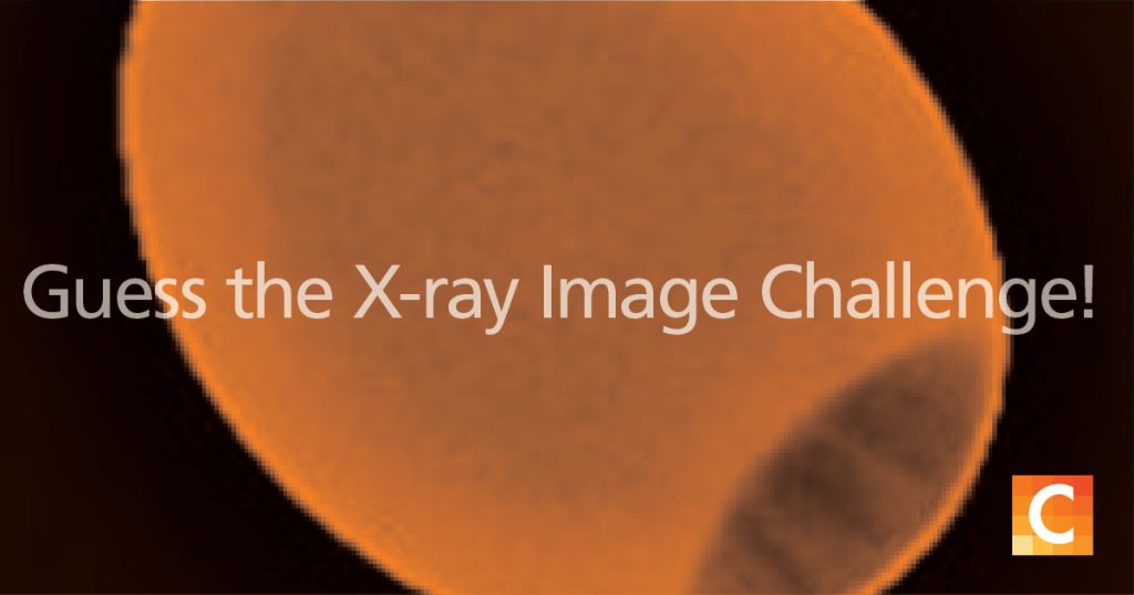 Guess the X-ray image challenge.