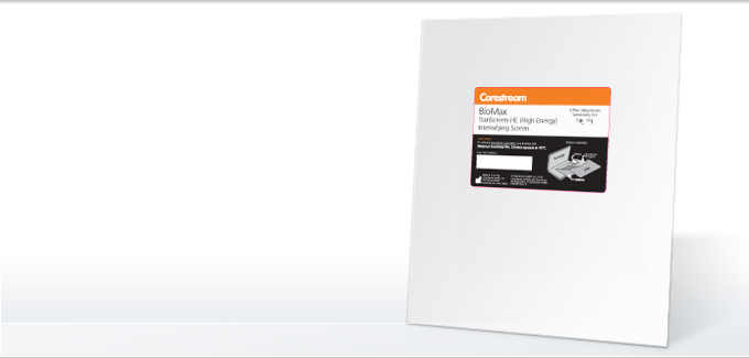BioMax TranScreen HE