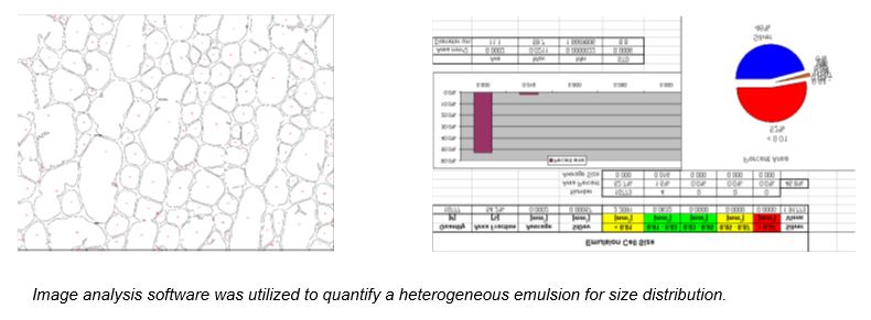 Quantitative image analysis