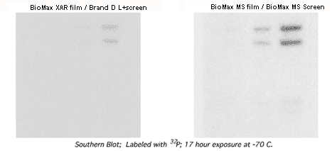 Biomax compare image 2