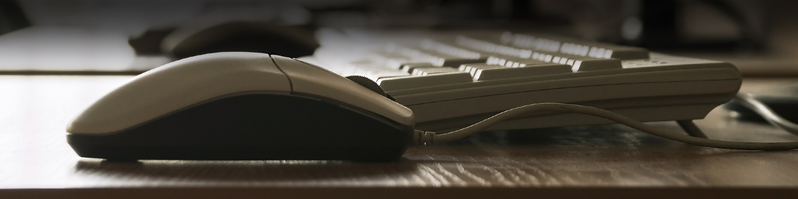 Capacitación del cliente