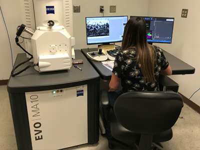 Quality and Analytical Testing