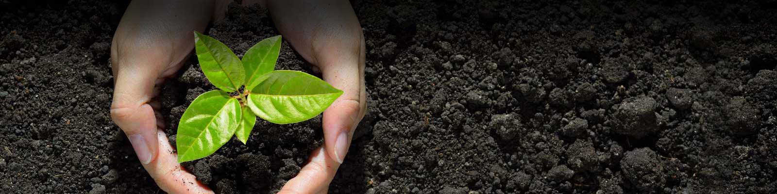 Environnement, hygiène et sécurité