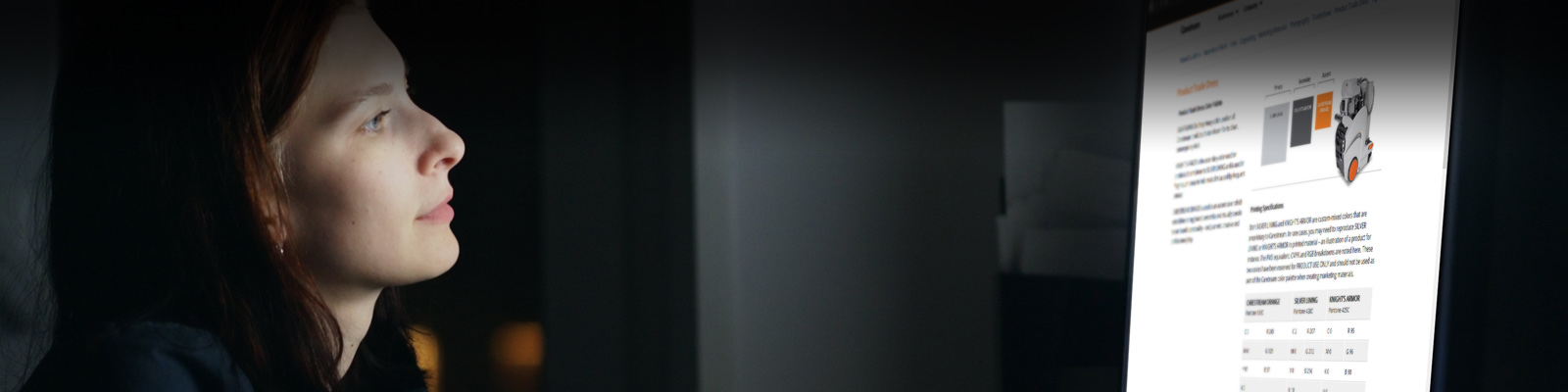 Linee guida per il marchio