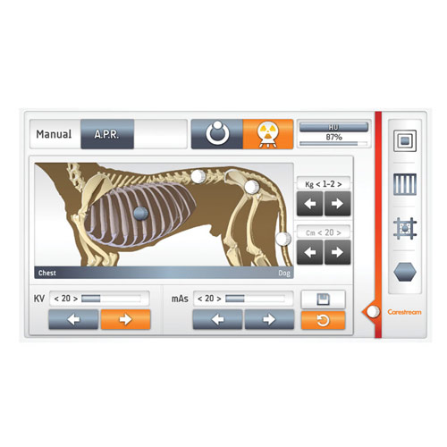 VXR Veterinary Radiological System