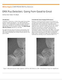 White Paper:
		  DRX Plus Detectors