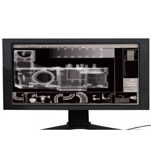 Industrex 5MP Monochrome Monitor - 1 Unit